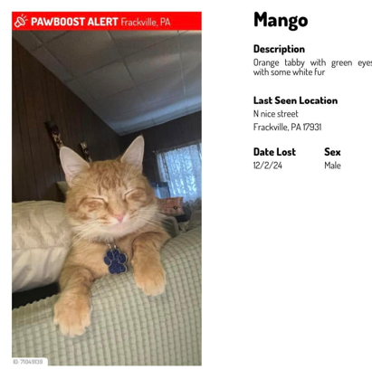 Mango